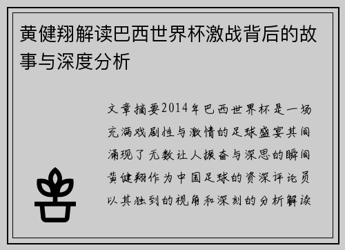 黄健翔解读巴西世界杯激战背后的故事与深度分析