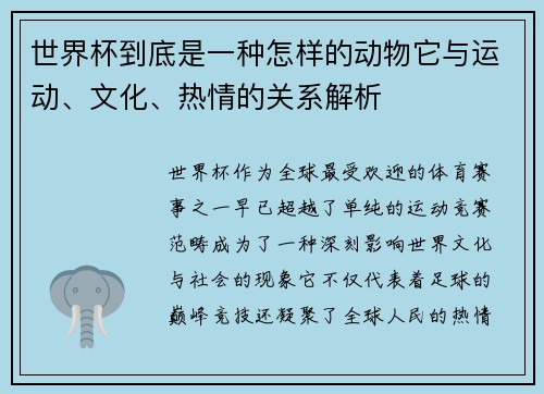 世界杯到底是一种怎样的动物它与运动、文化、热情的关系解析